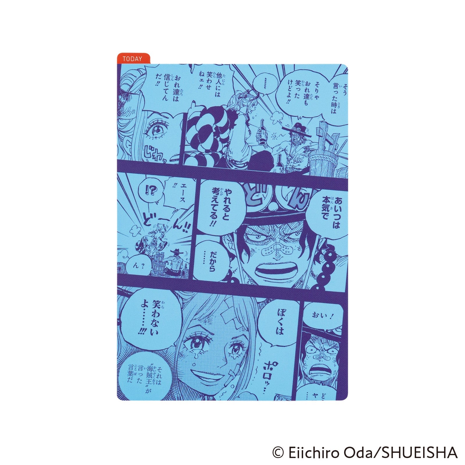 Hobonichi Pencil Board 2025 - ONE PIECE magazine - Memories