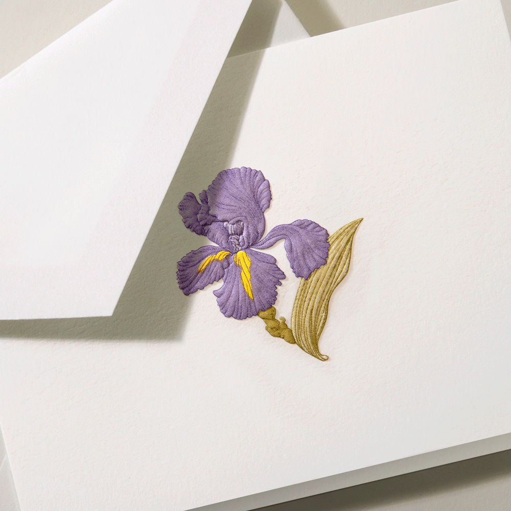 Crane Iris Note Stationery